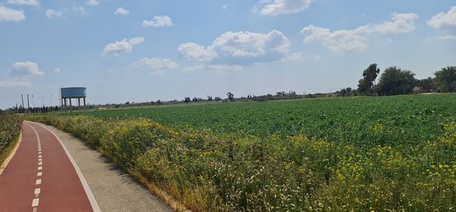 green farmland by a bicycle path near Avgorou in Cyprus