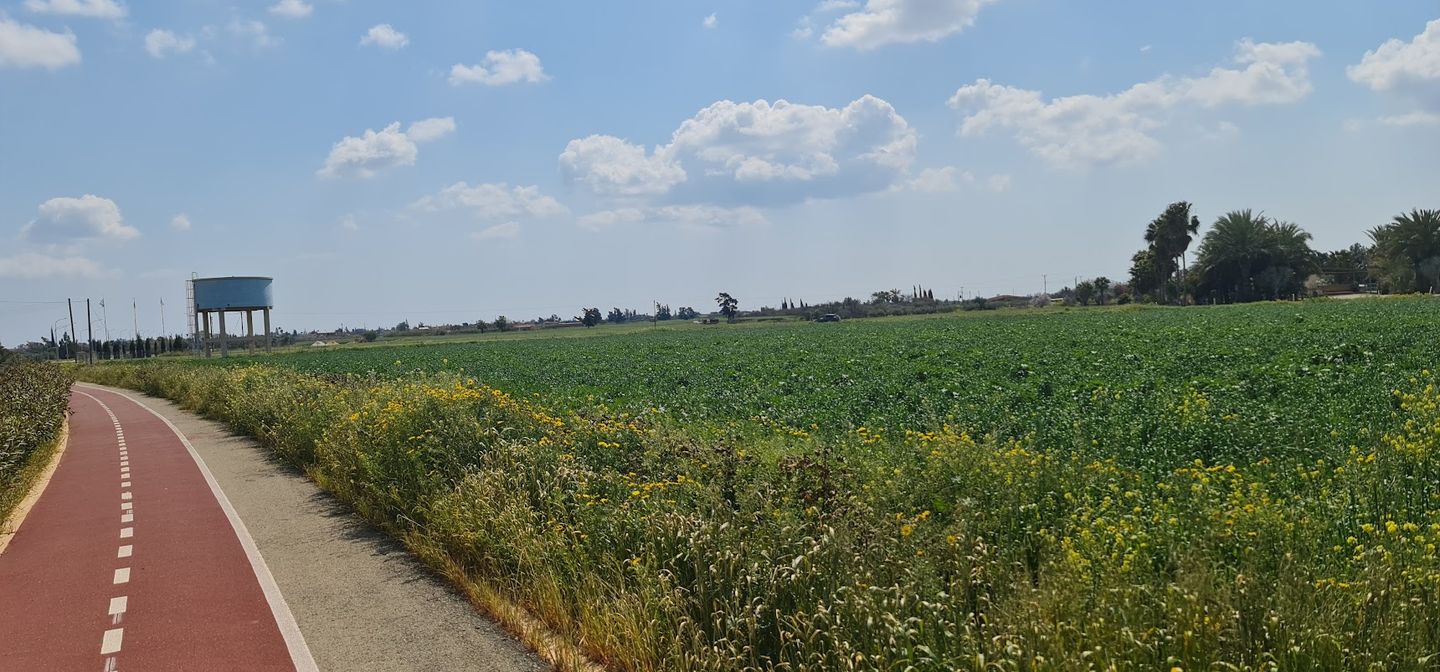 green farmland by a bicycle path near Avgorou in Cyprus