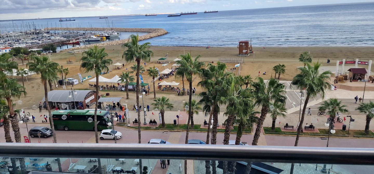 aerial view of Finikoudes beach in Larnaca with palm trees and a marina