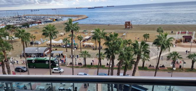 aerial view of Finikoudes beach in Larnaca with palm trees and a marina