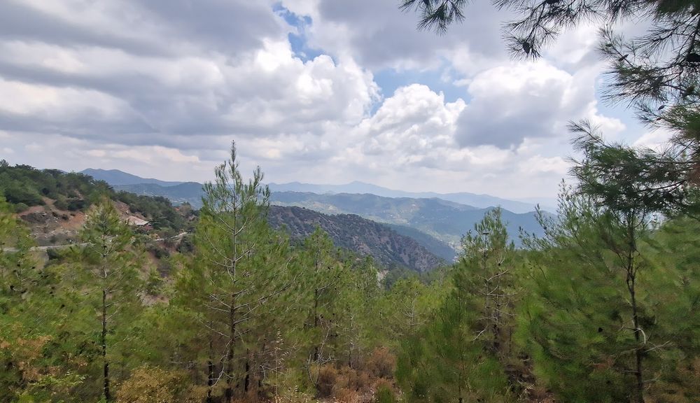 widok na góry Troodos z sosnami i chmurami