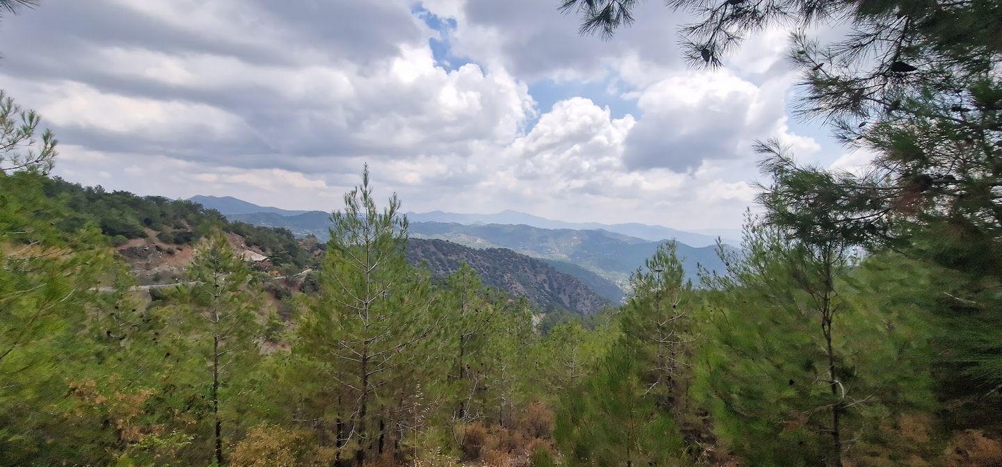 view of the Troodos mountains with pine trees and clouds